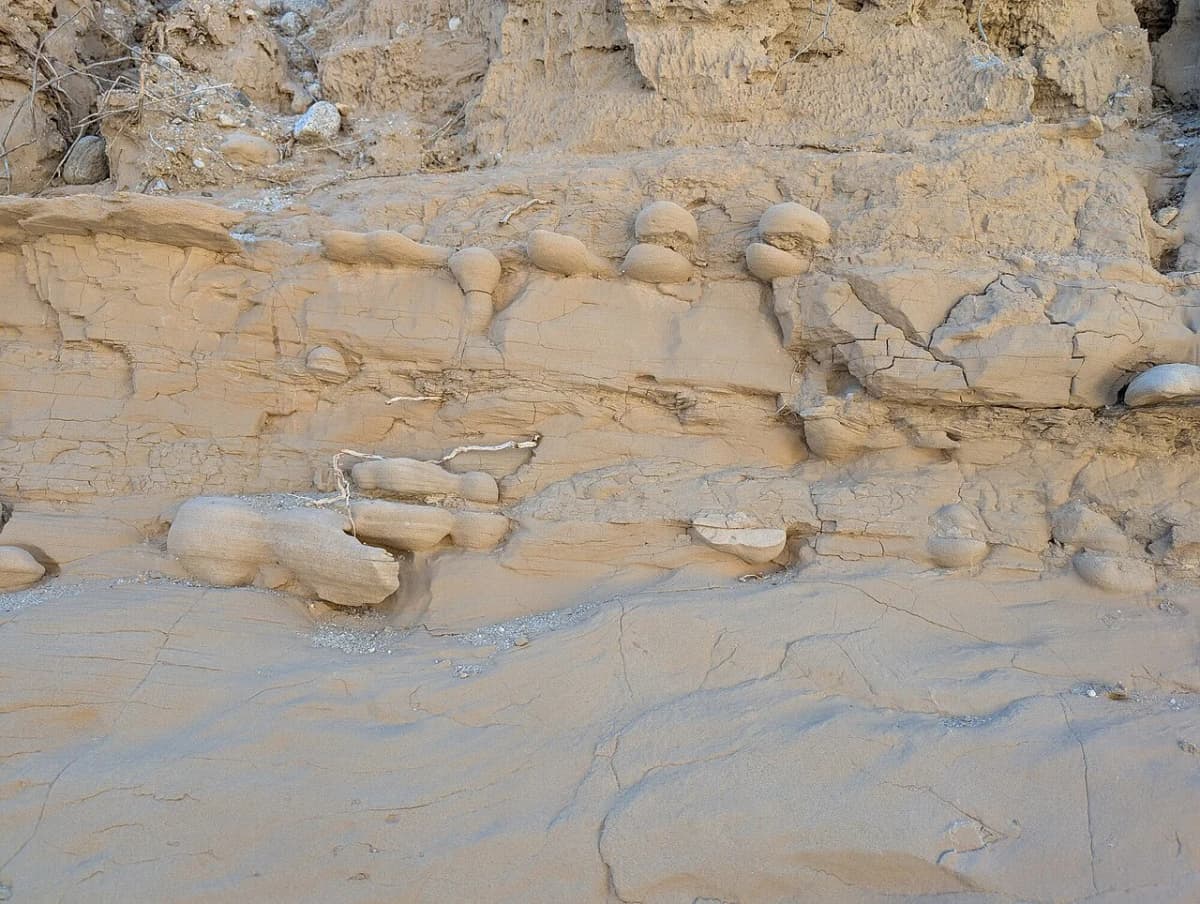 Anza-Borrego metal sculpture sea serpent at Galleta Meadows rising from the desert floor