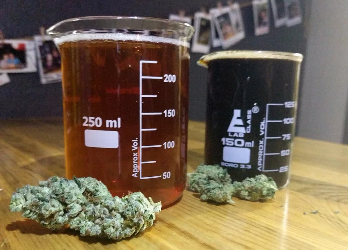 San Diego craft brewery — taproom tasting flight with local beer varieties
