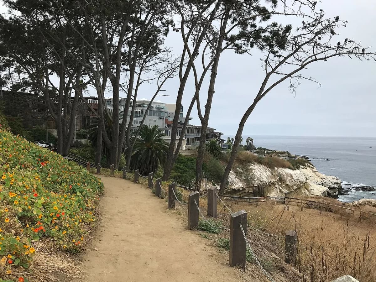 La Jolla Cove snorkeling and marine life — a nearby attraction from Fiesta del Sol