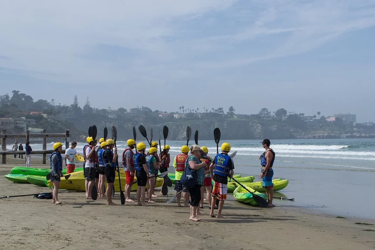 Sea lions resting on rocks near La Jolla Cove with kayaks in the marine reserve