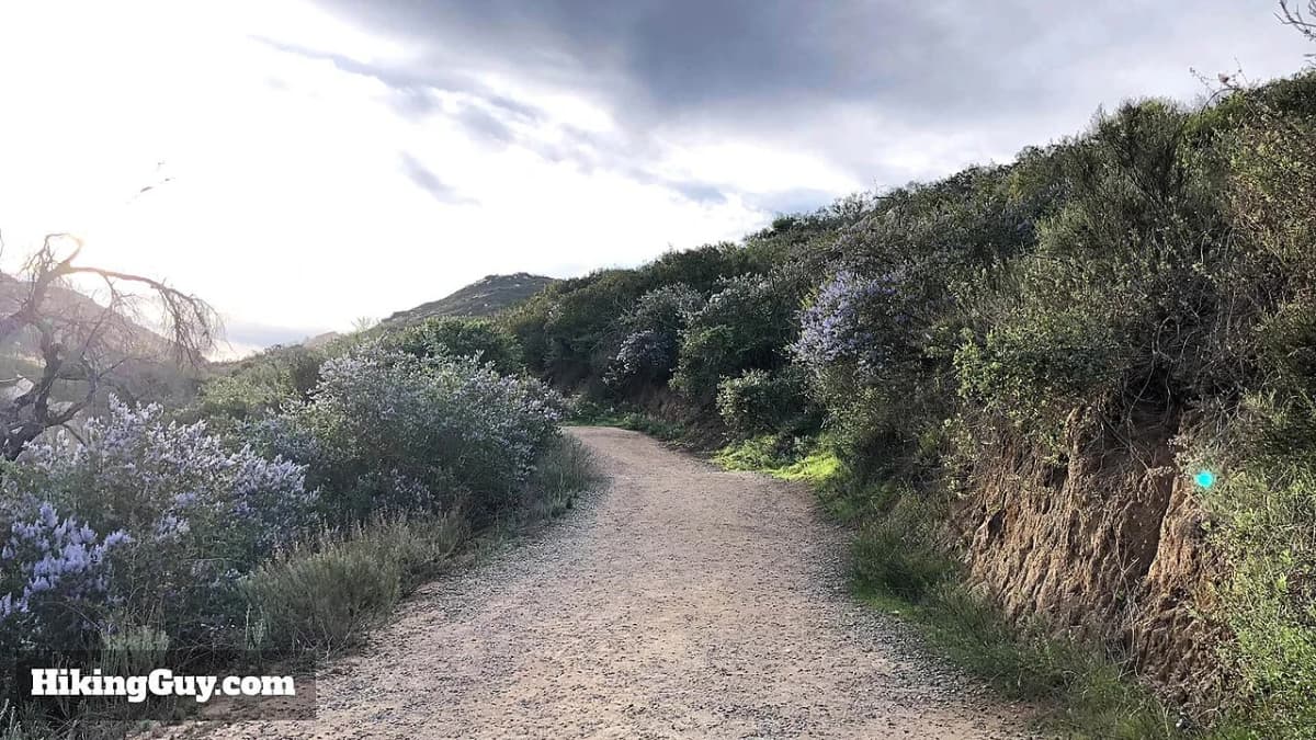Potato Chip Rock Hike — view 2