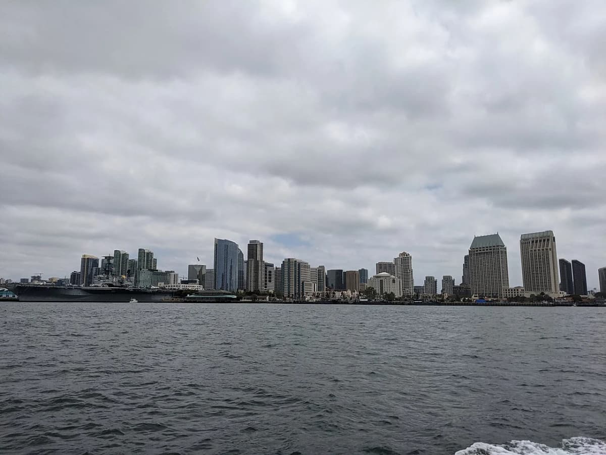 Gray whale breaching during San Diego whale watching tour in January migration season