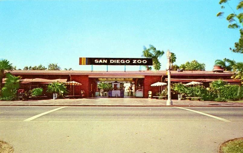 San Diego Zoo pandas and tropical habitat