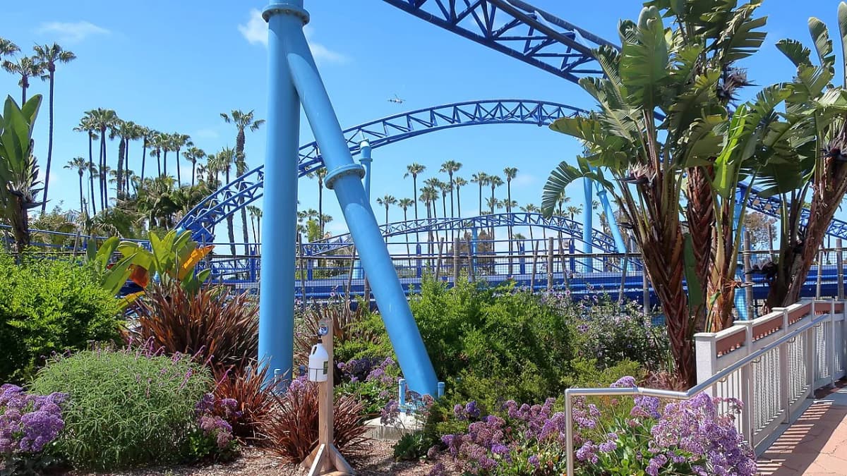 SeaWorld San Diego — penguin exhibit and arctic zone