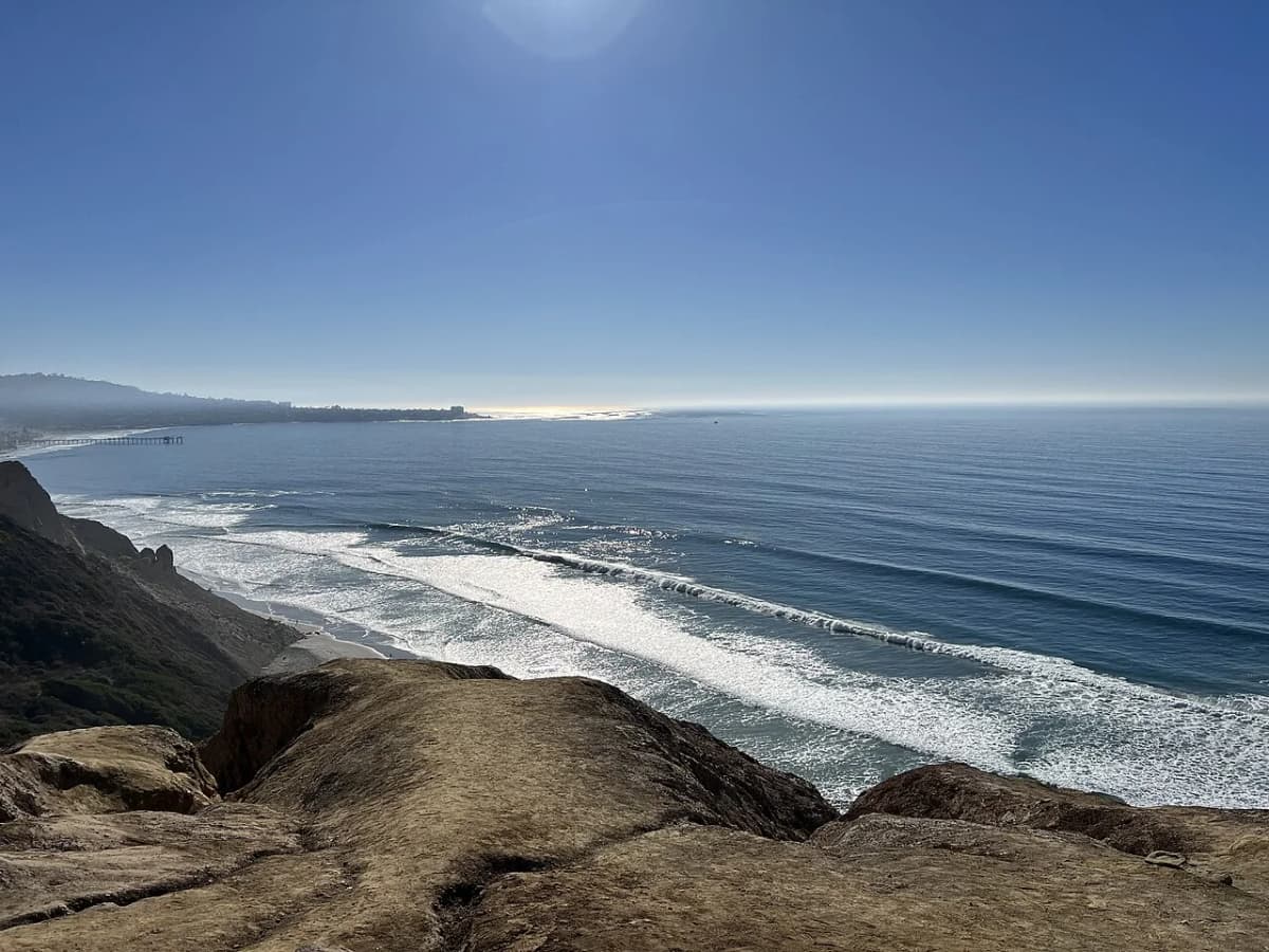Torrey Pines Reserve ocean overlook and rare Torrey pine trees