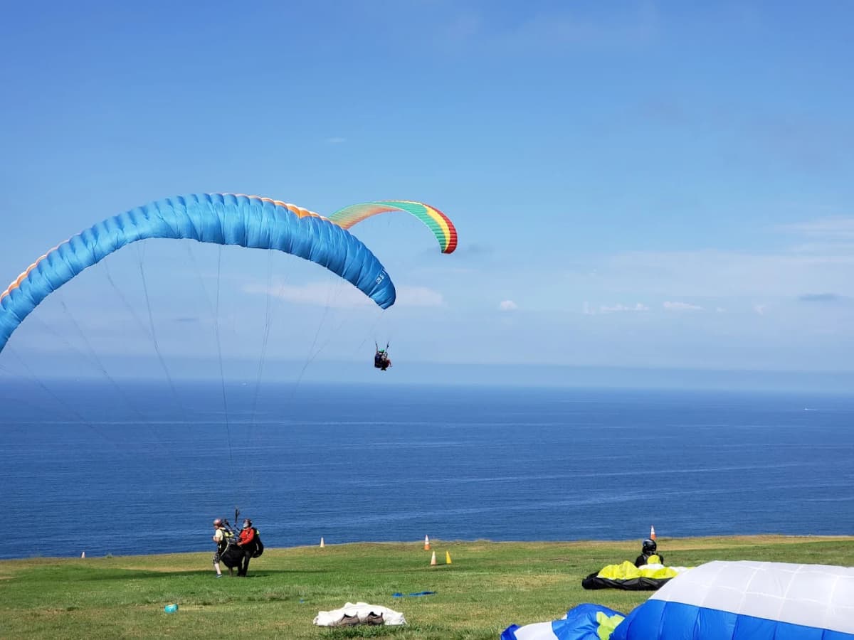 Torrey Pines Gliderport in San Diego - paragliders above ocean cliffs