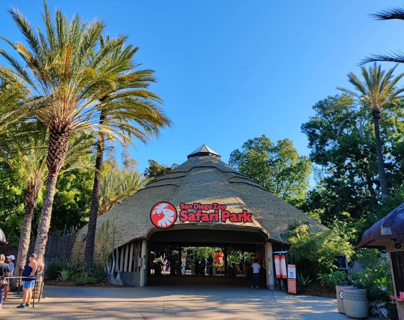 San Diego Zoo Safari Park with roaming animals